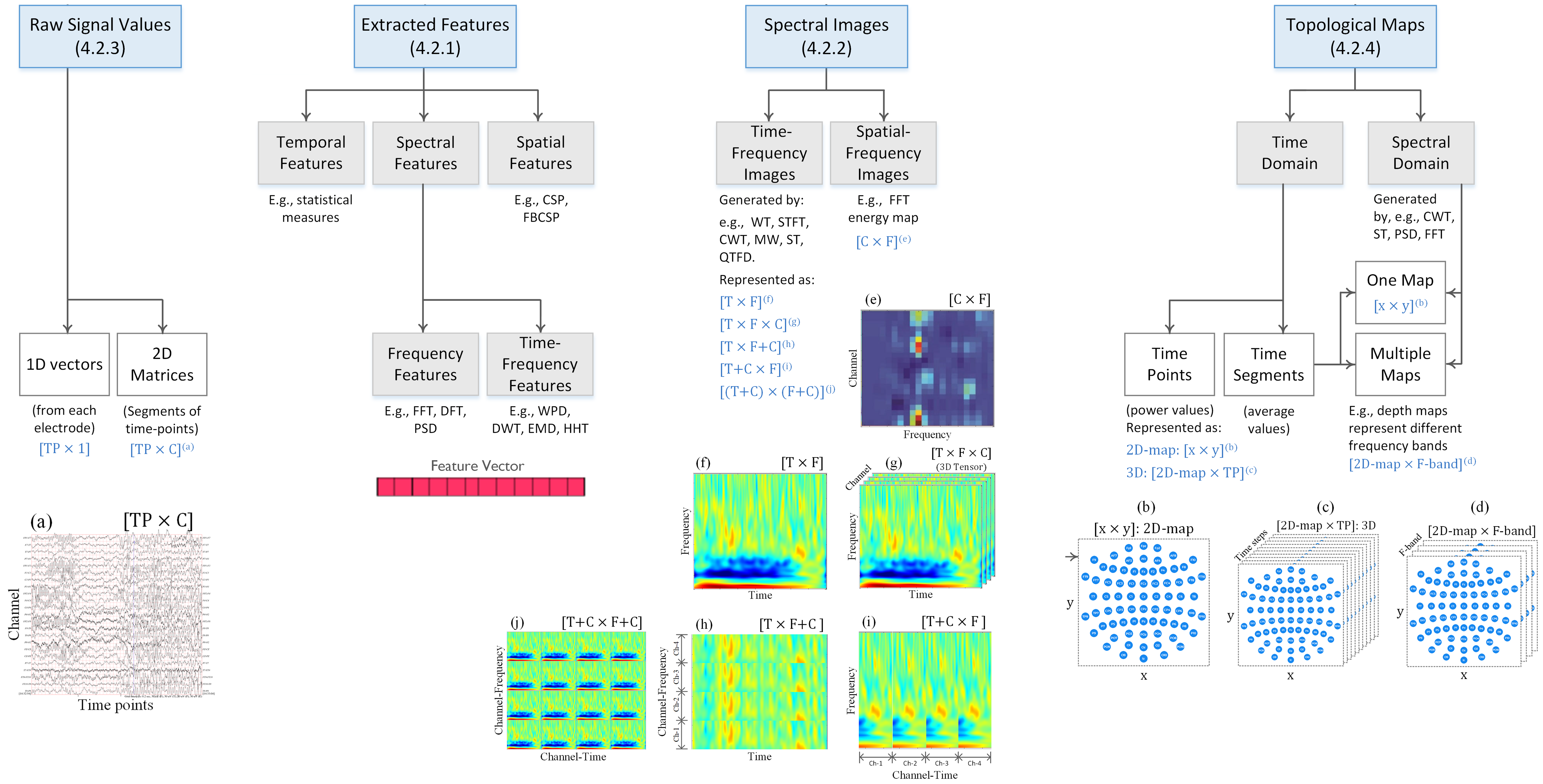 EEG Datasets